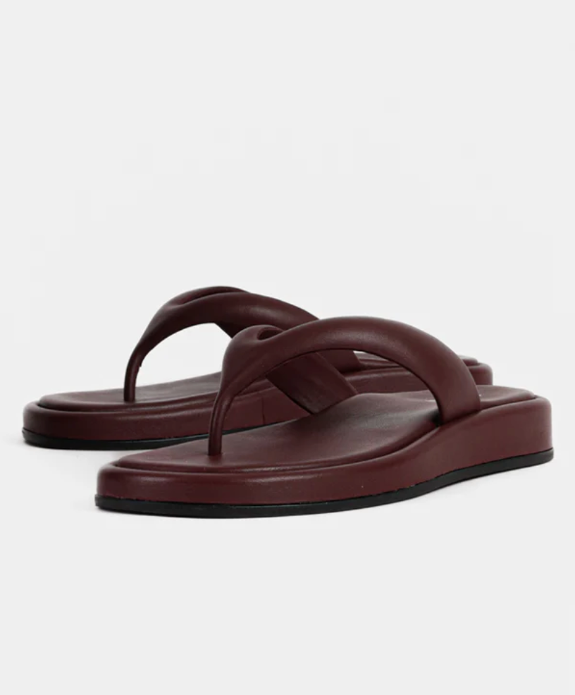 Eve Sandaler, Oxblood nga Bukela